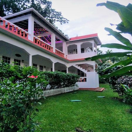 Polish Princess Guest House ポート・アントニオ エクステリア 写真